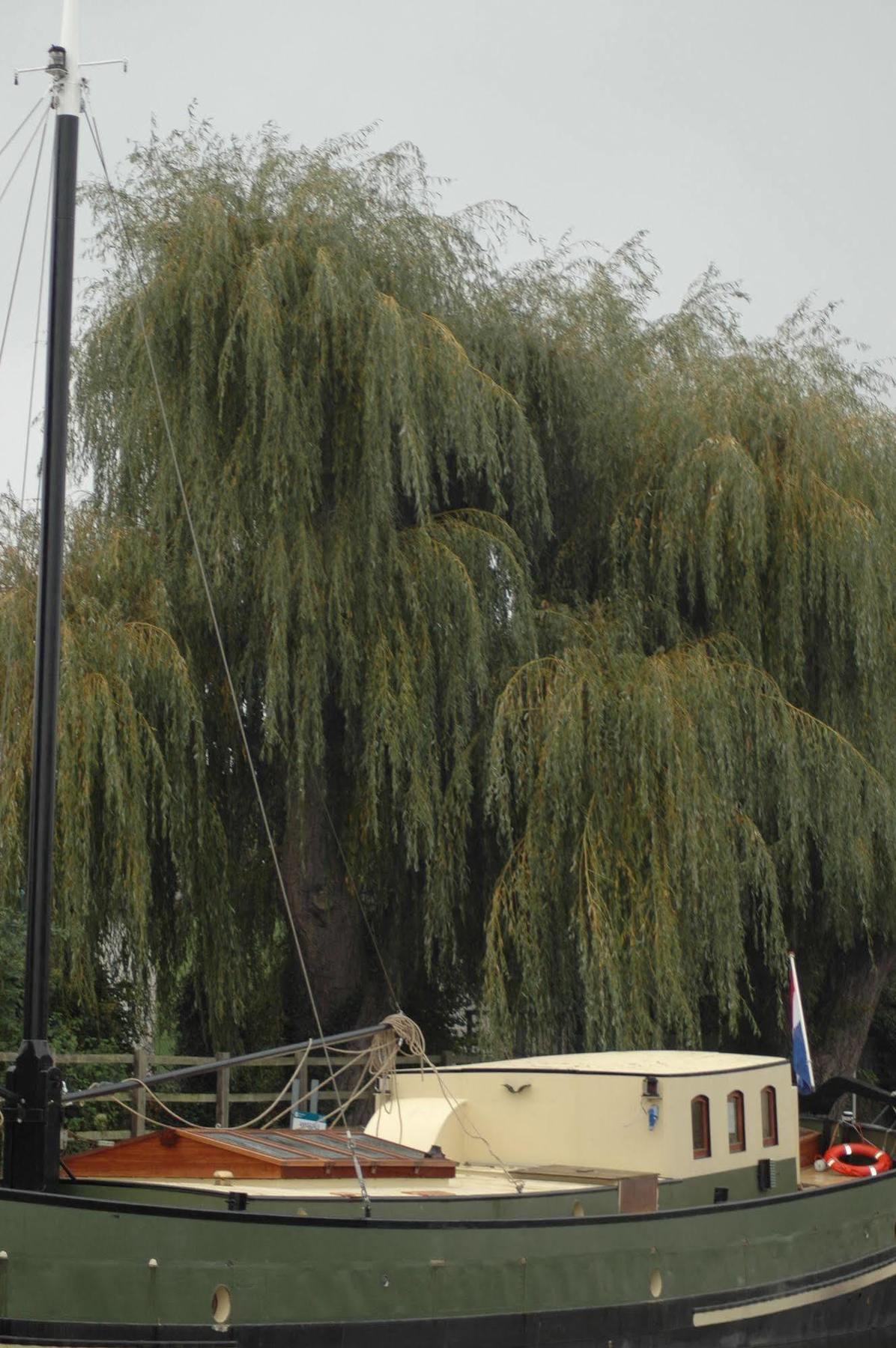 Hotel Barge Waternimf Ely Dış mekan fotoğraf